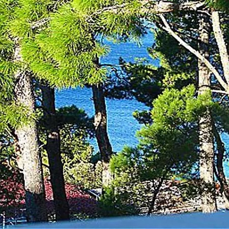 Vese - 200 M From Beach Apartment *